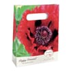 Beautifleur Perennial Tent Bag - Oriental Poppy