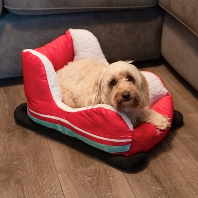 Festive Paws Sleigh Pet Bed