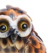 Jardin Decorative Owl