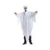 Hallow Scream Adult Ghost Costume