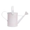 The Outdoor Living Collection Decorative Watering Can