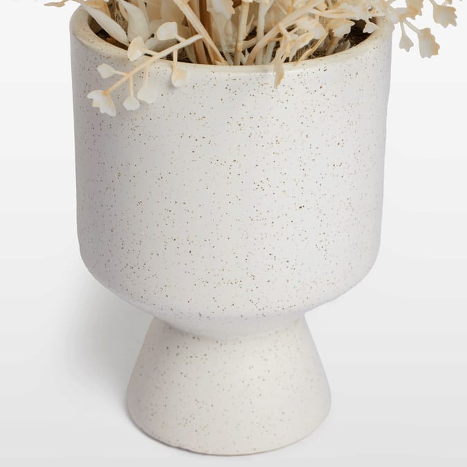 The Lifestyle Edit Autumn Potted Foliage