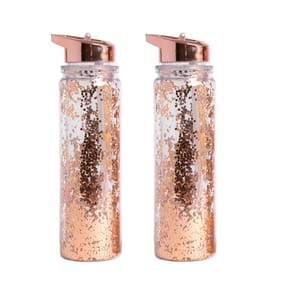 Dreamer Glitter Water Bottle 2 Pack - Copper