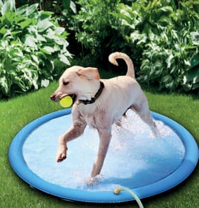 MyPets Summer Pet Sprinkler  
