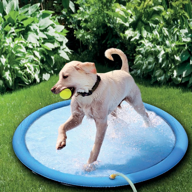MyPets Summer Pet Sprinkler  