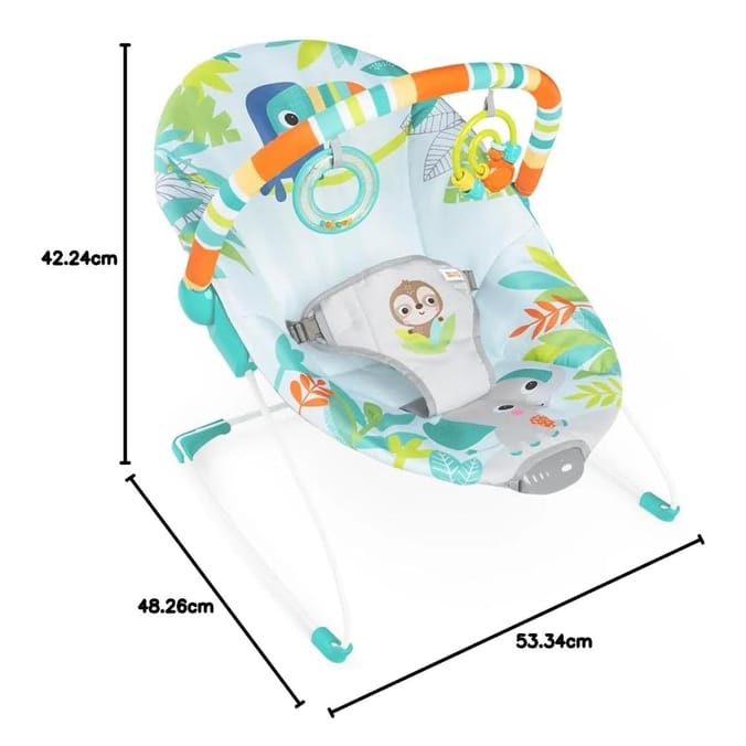 Bright Starts Rainforest Vibrations Bouncer