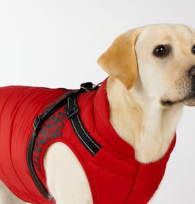My Pets Dog Coat with Adjustable Harness Red