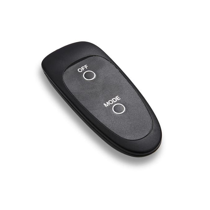 Swan Stand Patio Heater with Remote