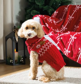 Chester's Pet Jumper Festive Reindeer