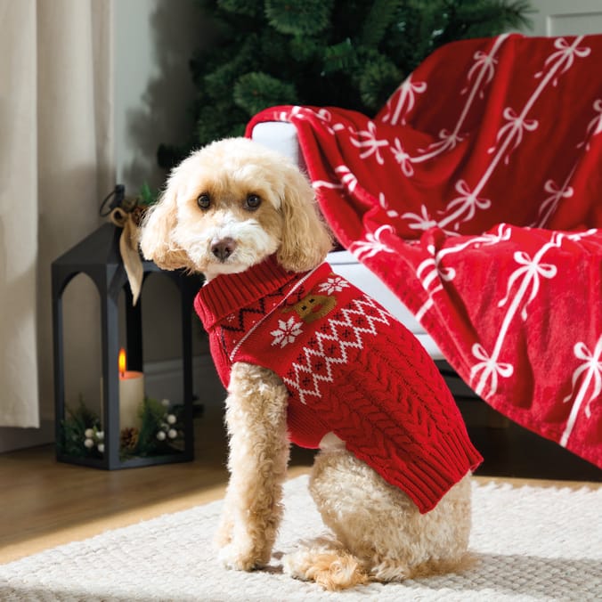 Chester's Pet Jumper Festive Reindeer
