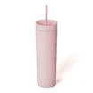 Hydrate Double Wall Bottle With Straw 480ml
