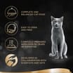 Sheba Sauce Lover Mixed Selection Cat Food Pouches 8 x 85g