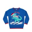 Festive Fun Young Boy Ski Rex Christmas Jumper - 18-24 Months