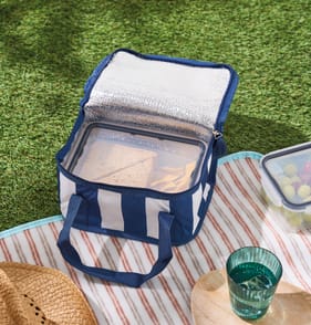 Summer Small Cooler Bag - Blue Stripe