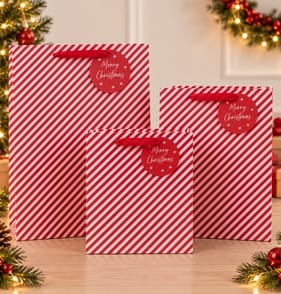 Festive Feeling Gift Bag Set - Candy Cane