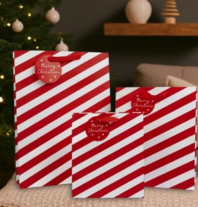 Festive Feeling Gift Bag Set - Candy Cane