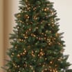 Prestige Mains Operated 3000 LED Compact String Lights