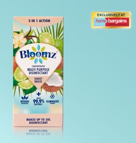 Bloomz Concentrated Multipurpose Disinfectant 500ml - Sunset Breeze