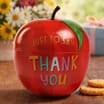 Just To Say Thank You Apple Biscuit Tin 57g