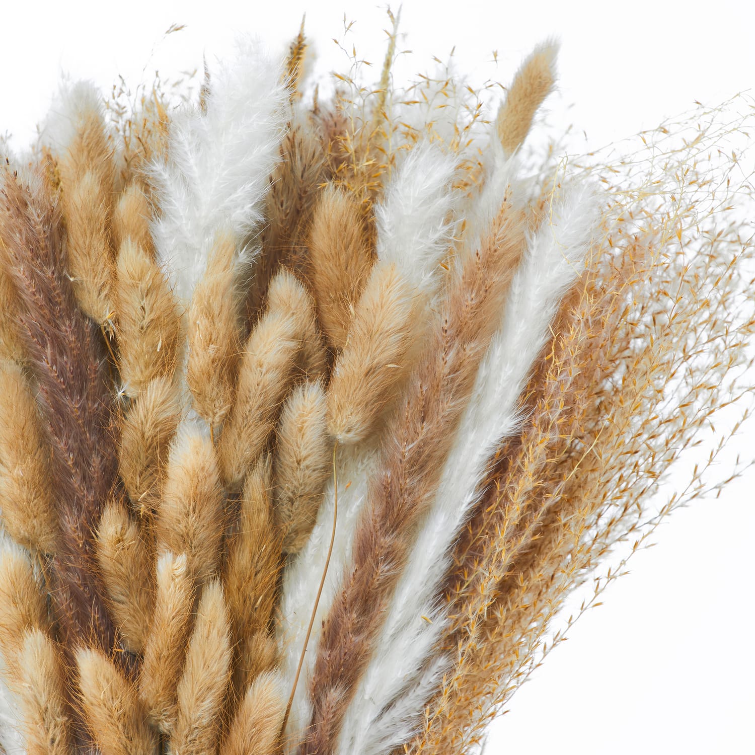 Home Collections Dried Flowers Bouquet Home Bargains