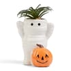 Haunted House Mini Artificial Plant - Mummy