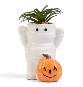 Haunted House Mini Artificial Plant - Mummy