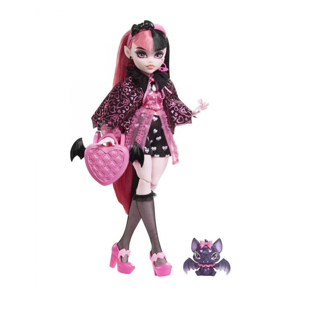 Monster High Doll with Pet Accessories Home Bargains