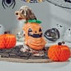 My Pets Dog Dress-Up Vest - Pumpkin