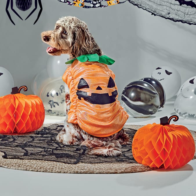 My Pets Dog Dress-Up Vest - Pumpkin