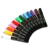 Colvin & Co Artists' Acrylic Paint Markers 12 Pack