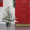 Festive Feeling Premium Snowy Pine Potted Tree 4ft
