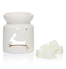 Easter Wishes Wax Melts And Burner Set