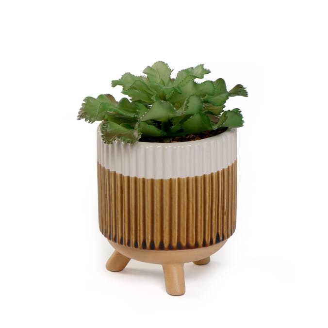 Home Collections Artificial Succulent In Pot
