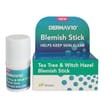 Derma V10 Tea Tree & Witch Hazel Blemish Stick