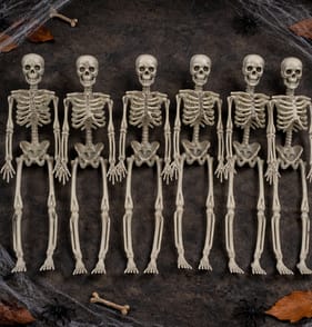 Hallow Scream Characters In A Bag - Skeleton