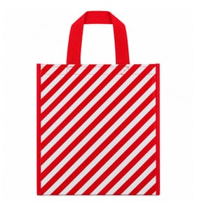 Christmas Shopper Gift Bag