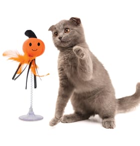 My Pets Halloween Cat Teaser - Pumpkin