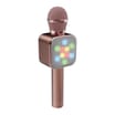 Equatech 3in1 Karaoke Machine with Flashing Lights