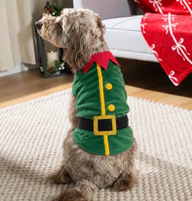 Chester's Reversible Pet Costume - Elf/Santa   