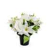Home Collections Graveside Flowers Pot