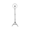 Equatech 13" LED Tri-Pod Social Media Ring Light with Phone Holder