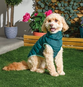 My Pets Reversible Pet Green Puffer Coat