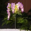 Firefly Solar Light Co Wisteria Stake Solar Light
