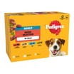 Pedigree Adult Wet Dog Food Pouches 12 x 100g - Mixed Selection in Jelly