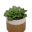 Home Collections Artificial Succulent In Pot