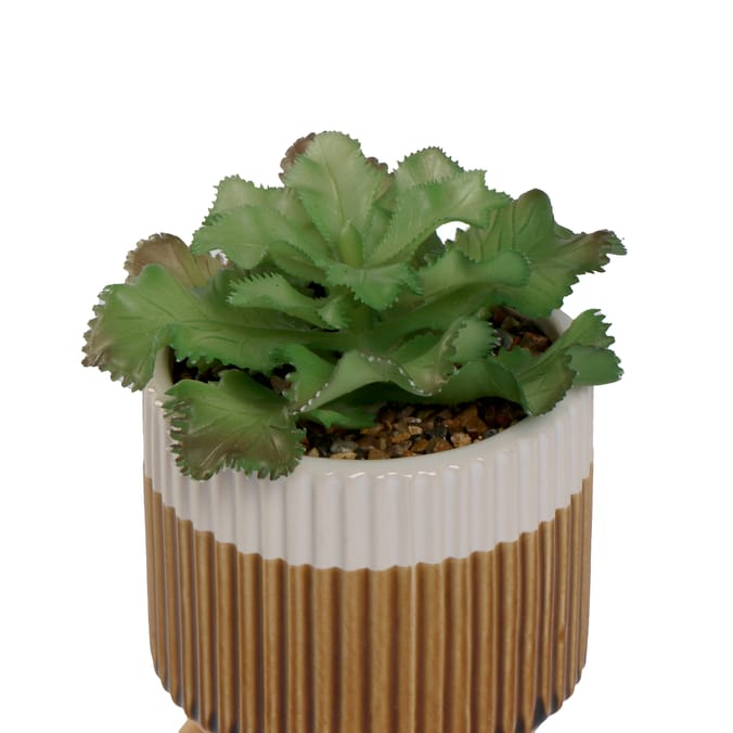 Home Collections Artificial Succulent In Pot