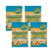 Go Nuts Salt & Vinegar Roasted Peanuts 50g x4