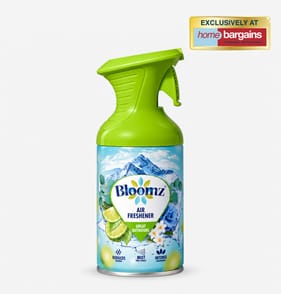 Bloomz Air Freshener 250ml - Great Outdoors