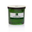 Wickford & Co The Vault Scented Candle 270g - Juniper & Pine 