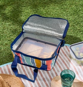 Summer Small Cooler Bag - Multi Coloured Stripe